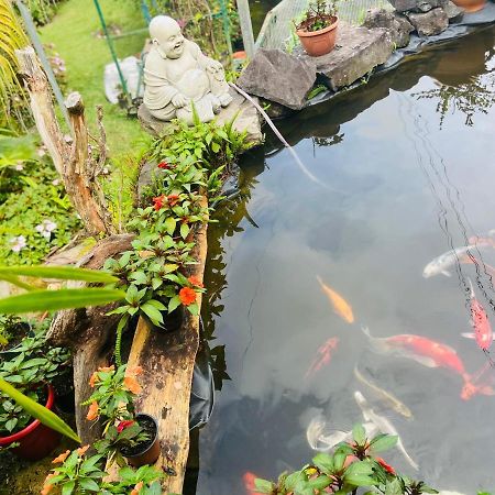 Chambres d'hôtes l'Orchidée Rose Salazie Esterno foto