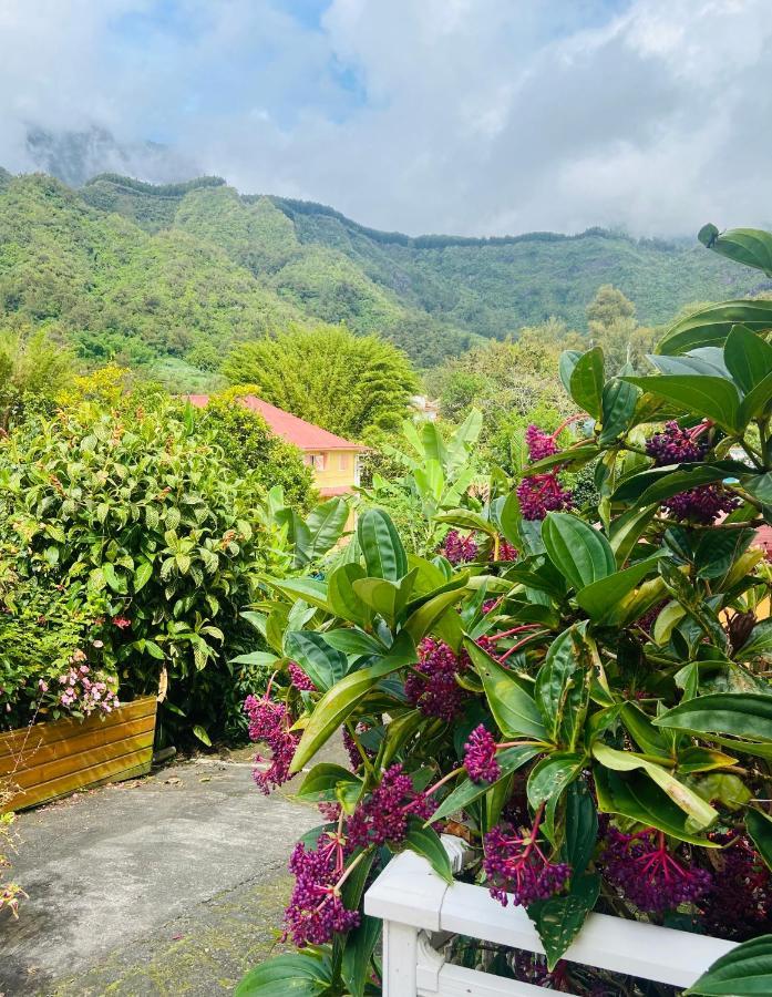 Chambres d'hôtes l'Orchidée Rose Salazie Esterno foto