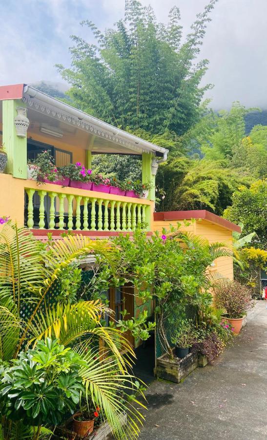 Chambres d'hôtes l'Orchidée Rose Salazie Esterno foto