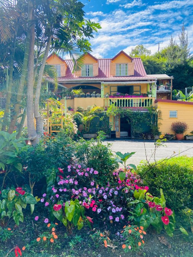 Chambres d'hôtes l'Orchidée Rose Salazie Esterno foto