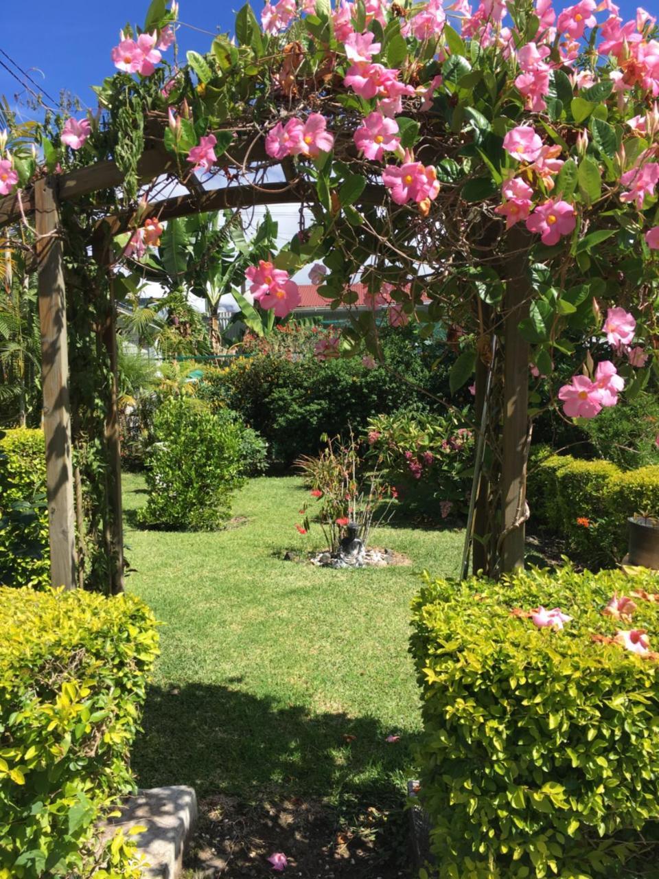 Chambres d'hôtes l'Orchidée Rose Salazie Esterno foto